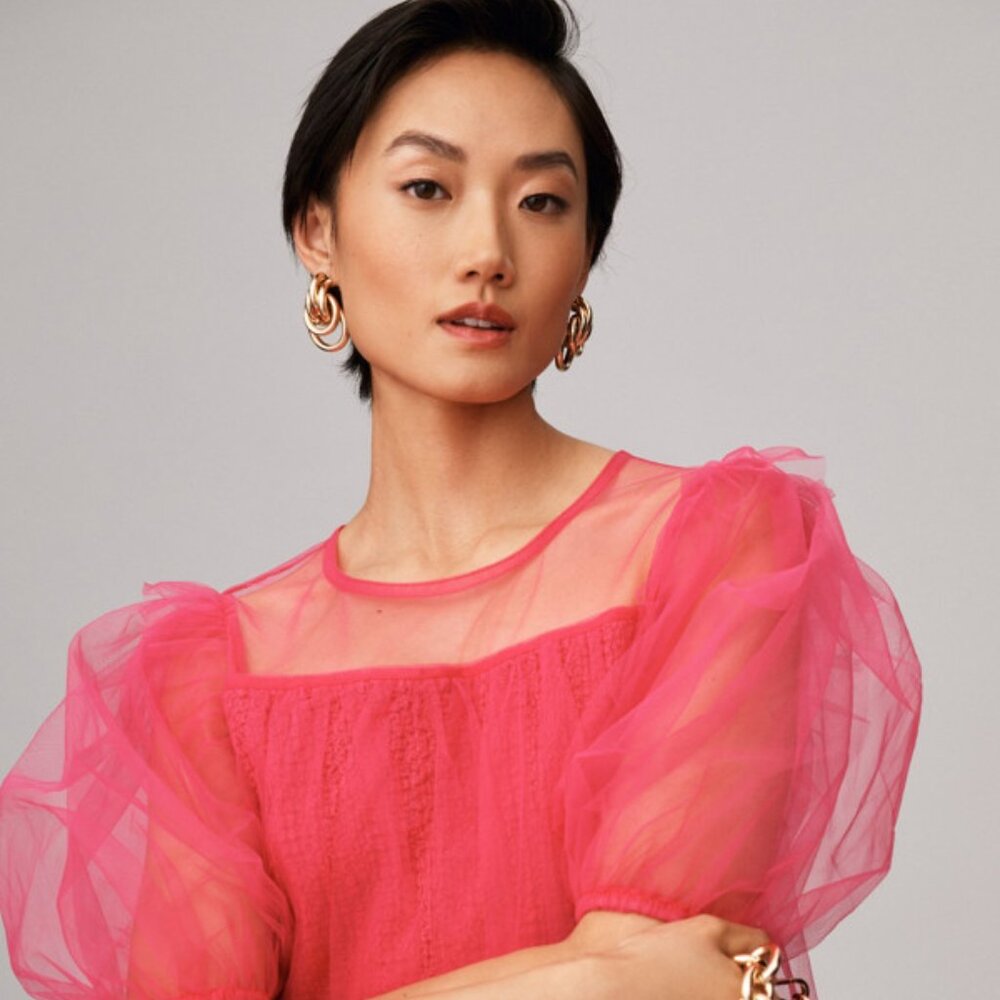 NWT- By Anthropologie Sheer Tulle Puff-Sleeve Crop Top in Vibrant Pink